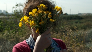 טקסט אלטרנטיבי