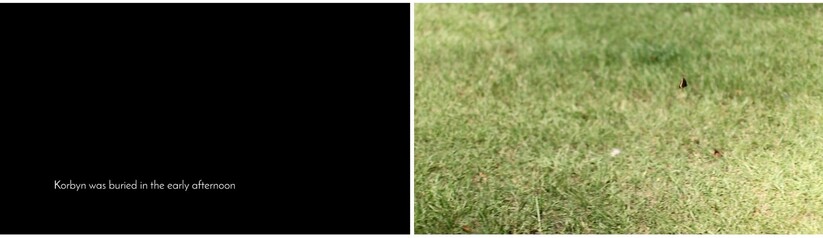 פרפר שחור על רקע הדשא: דימוי שליו המתנגש עם ההבנה שקורבין התינוק "נקבר אחר הצהרים המוקדמים"