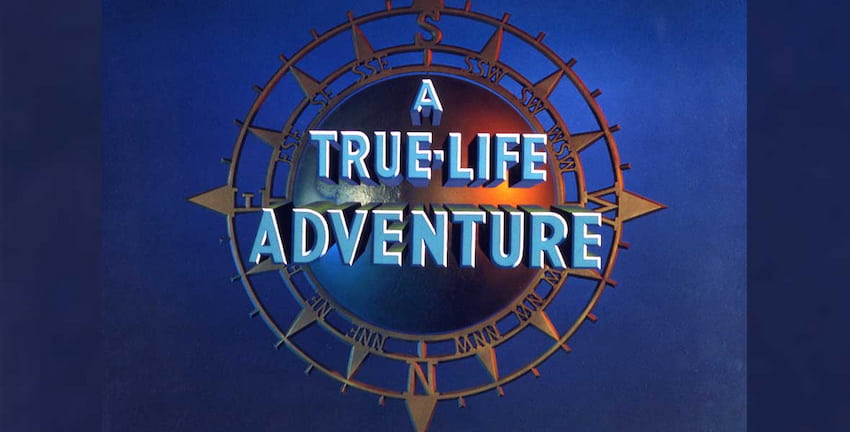 סרטי ה־True-Life Adventure של דיסני: המשך בידורי לז׳אנר סרטי הטבע. צילום מסך